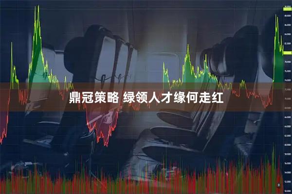 鼎冠策略 绿领人才缘何走红