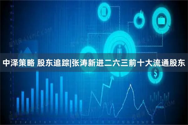 中泽策略 股东追踪|张涛新进二六三前十大流通股东