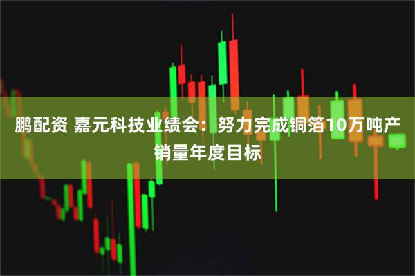 鹏配资 嘉元科技业绩会：努力完成铜箔10万吨产销量年度目标