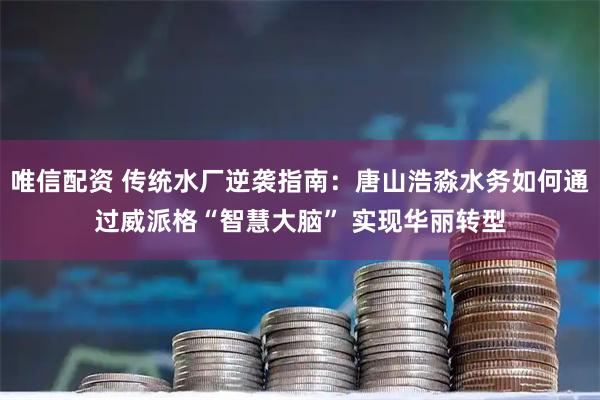 唯信配资 传统水厂逆袭指南：唐山浩淼水务如何通过威派格“智慧大脑” 实现华丽转型