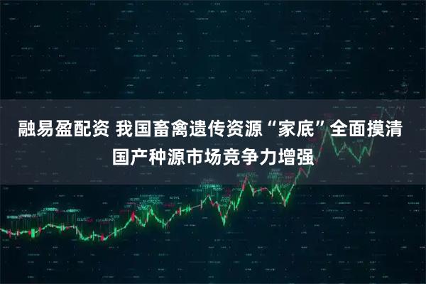 融易盈配资 我国畜禽遗传资源“家底”全面摸清 国产种源市场竞争力增强