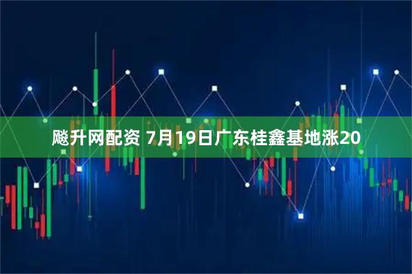 飚升网配资 7月19日广东桂鑫基地涨20