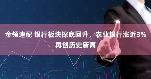 金领速配 银行板块探底回升，农业银行涨近3%再创历史新高