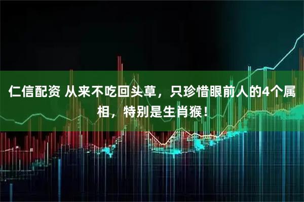 仁信配资 从来不吃回头草，只珍惜眼前人的4个属相，特别是生肖猴！