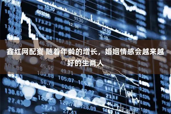 鑫红网配资 随着年龄的增长，婚姻情感会越来越好的生肖人