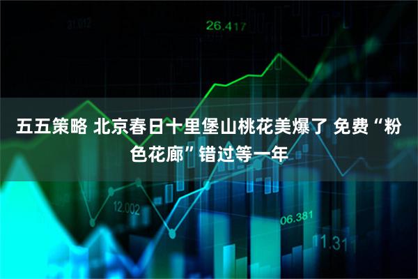 五五策略 北京春日十里堡山桃花美爆了 免费“粉色花廊”错过等一年